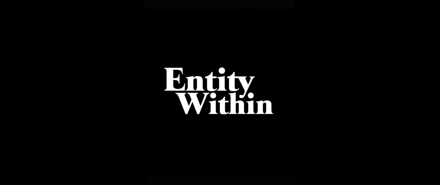 Entity Within